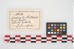 Etikett zu Bronzehelmbesatzscheibe (NHMW-PRAE-026116)